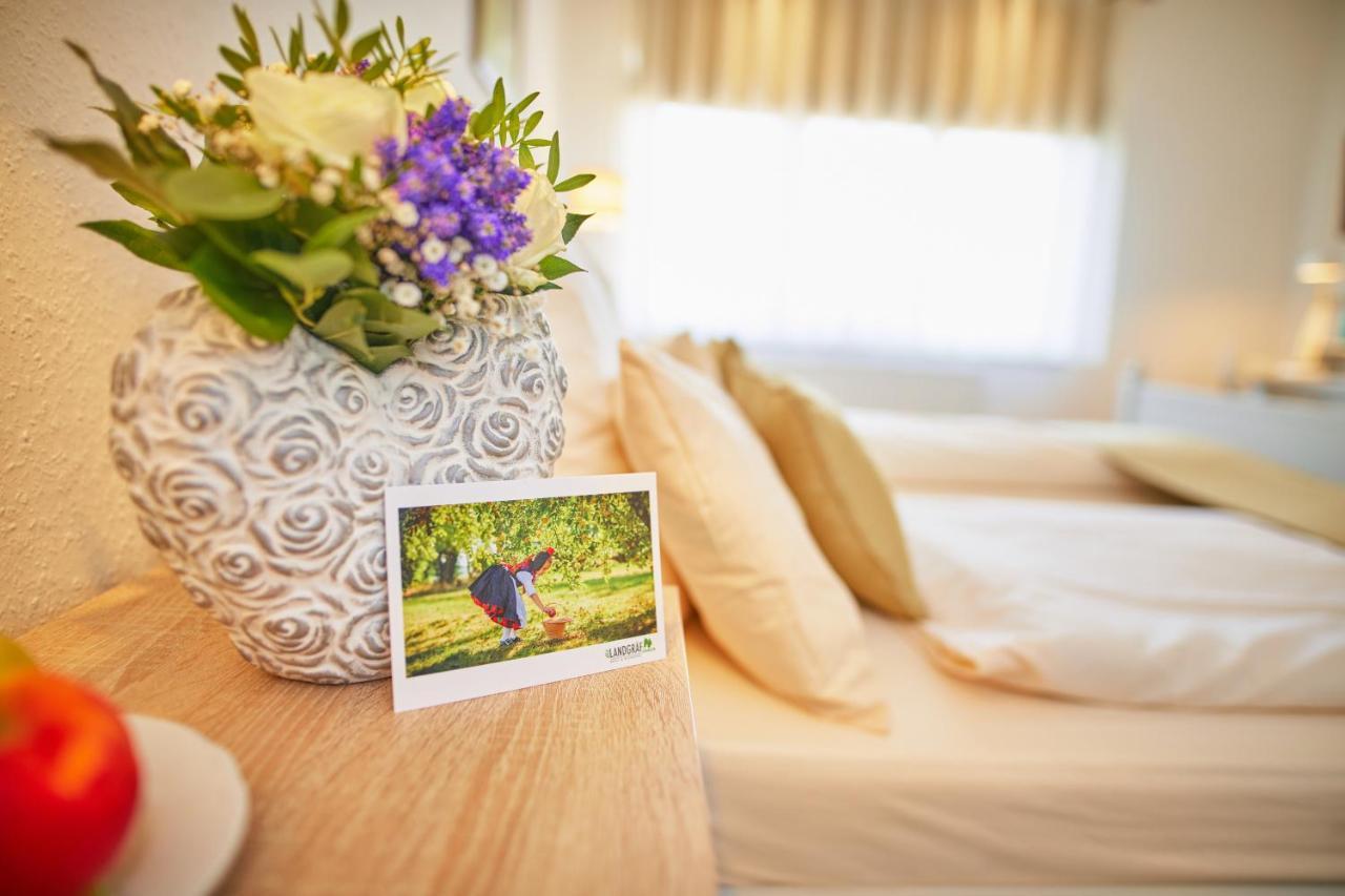 Hotel Landgraf シュヴァルムシュタット エクステリア 写真